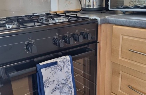 Newquay Cabin | Watergate Lane Hideout