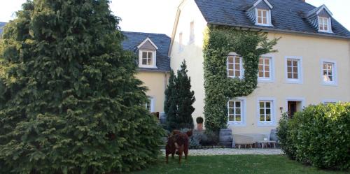 Trittenheim Hotel | Wein- & Tafelhaus