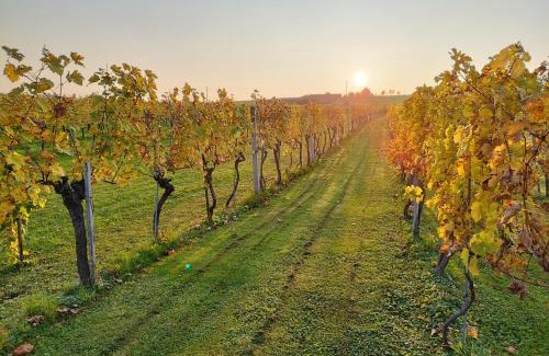 Eberau Ski Chalet | Weinberg Chalet Kokumandl