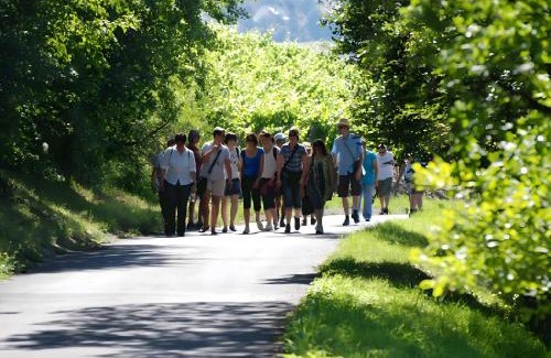 Iphofen Apartment | Weingut Ilmbacher Hof