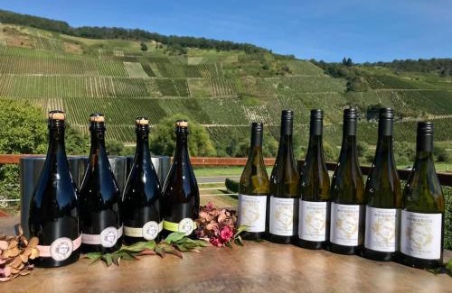 Kowerich Apartment | Weinlofts an der Mosel mit E10 Ladestation