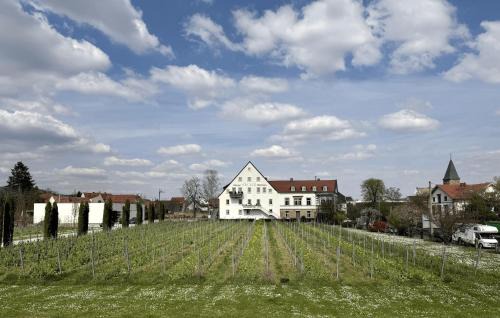 Mußbach Apartment | WeinZeit13 Wohlfühlen an der Weinstrasse mit Sauna