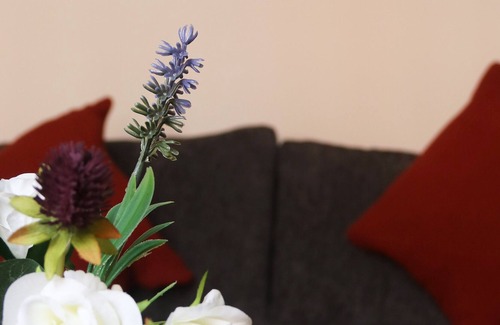 Darlington House | Welbeck house is a 3 bedroom end of terrace house situated in Darlington.