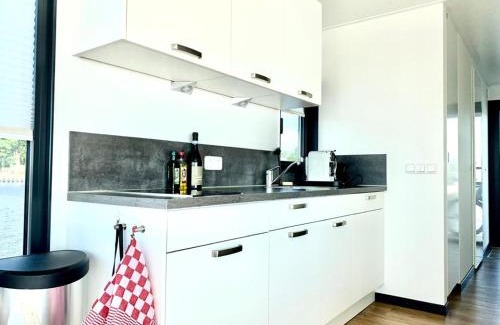 Offingawier Apartment | Welcome in - Houseboat Earrebarre aan het Sneekermeer met dakterras, prachtig uitzicht