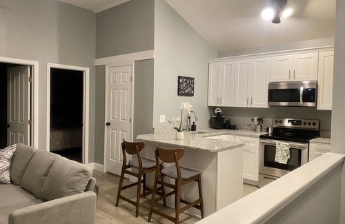 Wade Hampton Apartment | Welcome to Greenville’s Brand New Modern, Cozy apartment .