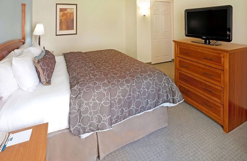 Las Colinas Hotel | Welcome to Irving! Minutes to Museum of Biblical Art! FREE Breakfast, Parking!