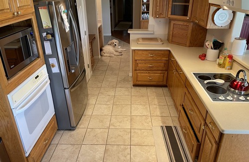 Fayetteville Other | Welcome to Lazy Oaks, a 28 acre cattle ranch