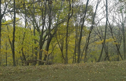 Marseilles RV Rental | Welcome to our magical woods! Relax, unwind a world away but close to home.