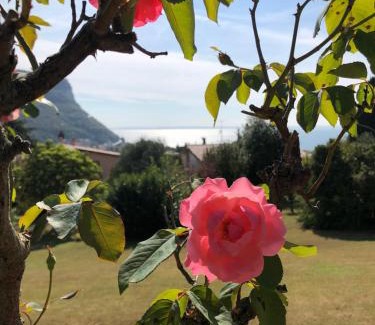 Garda Apartment | Welcome Traveller VILLA LEDA