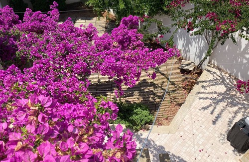 Lizzanello Apartment | Welcomely - Celi Blu Apartments