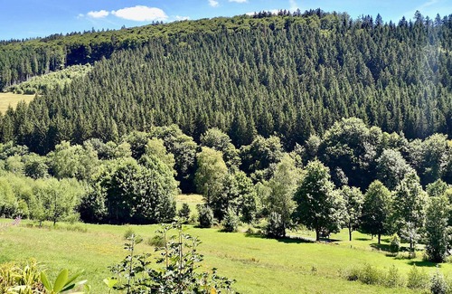 Nordenau Apartment | Well -kept Apartment in Schmallenberg with Grill