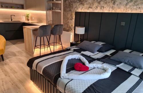 Varazdin Apartment | Wellness Apartments - Studio Apartment with Terrace G3