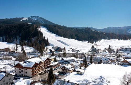 Russbach am Pass Gschuett Apartment | Wellness- und Familienoase Dachsteinresort