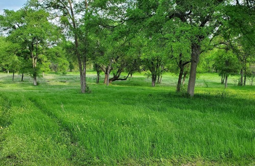 Georgetown House | West Point on San Gabriel