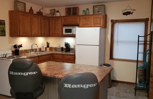 Theodosia Cabin | West Side Angler's Studio/Cabin close to Bull Shoals Lake