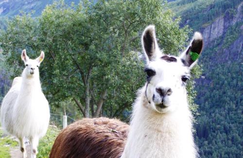 Geiranger House | Westerås Gard