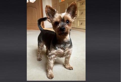 Alexandria House | Westertonhill Holiday Lodges - Private Hot Tub Hire Available