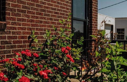 Ann Arbor House | Westside House 2 Miles to Downtown and the Stadium