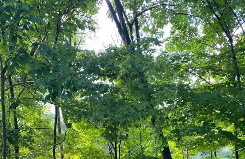 Walden RV Rental | Westwood Riverside ( Second Heaven)