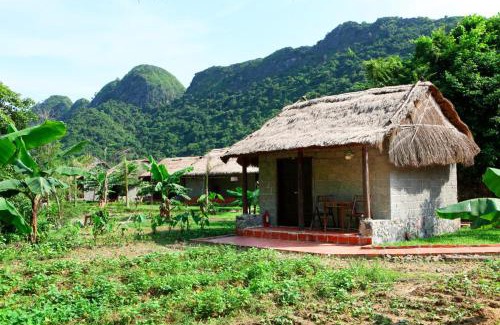 Cat Hai Resort | Whisper Nature Bungalow & Resort