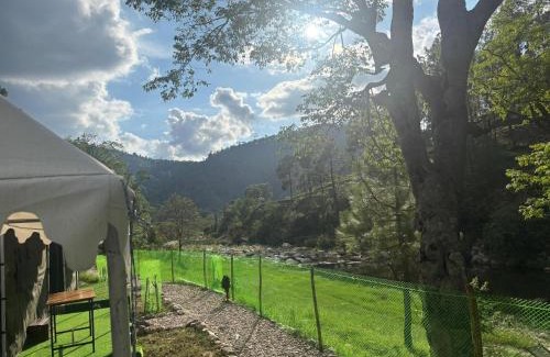 Almora Other | Whispering Water Camp