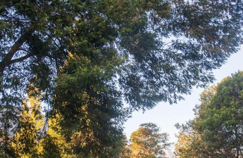 Witzenberg House | White Bridge Farm Accommodation