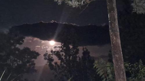 Passara Hotel | White House Holiday Inn