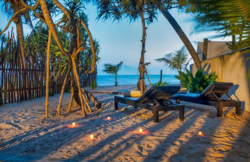 Dambulla Villa | White parrot beach villa