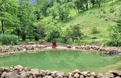 Lansing Cabin | White Pines w/ Swimming Pond & Hot Tub