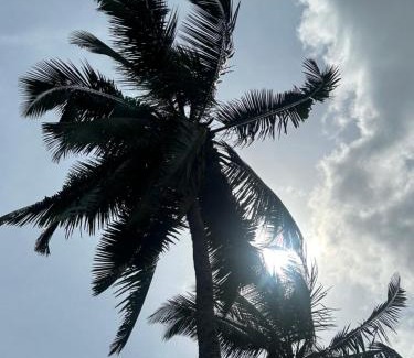 Gauravaddo Apartment | White Villa candolim