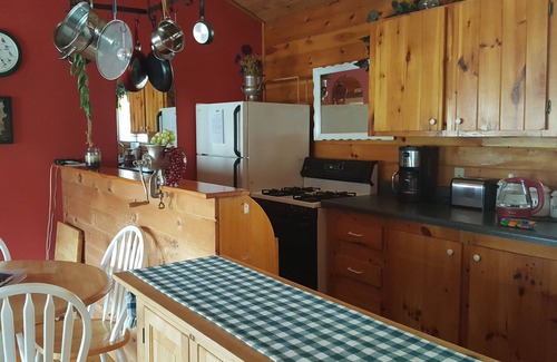 Franklin Cabin | Wild Bills Riverfront Escape - Garden hot tub