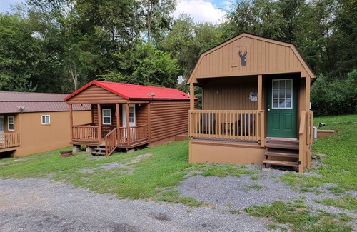 Dandridge Cabin | Wild Deer Cabin. Short walk to Douglas Lake. Half Hour from Pigeon Forge.