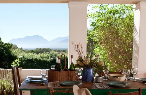 Hermon House | Wild Olive House