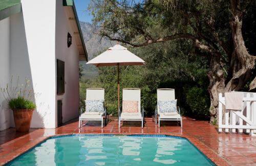 Hermon House | Wild Olive House