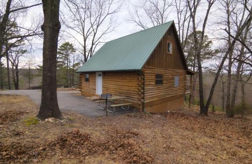 Eureka Springs House | Wild Plum Cabin No. 3