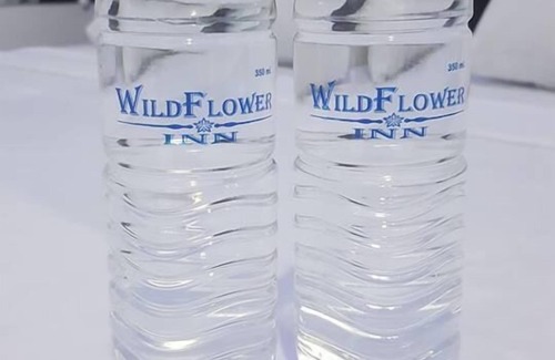 Mangaldan Hotel | Wildflower Inn