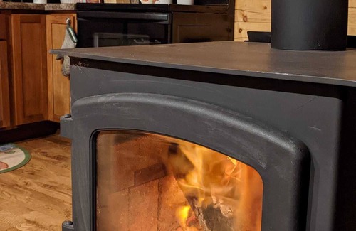 Iola Cabin | Wildlife Cabin! Spring-fed Ponds! Apple Orchard!