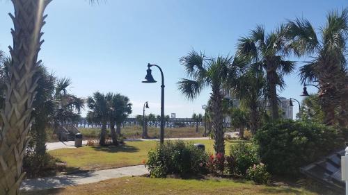 Downtown Myrtle Beach Hotel | Windsurfer Hotel