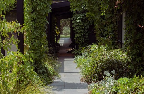 Red Hill South House | Winifred - Heart of the wine region.