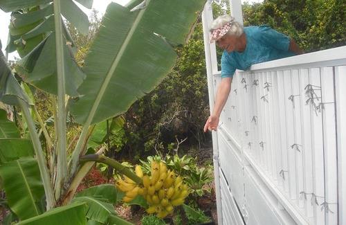 Kalaoa House | Wir sprechen Deutsch. Lovely studio with kitchenette, spacious lanai,TV and WiFi