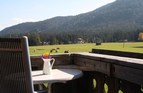 Leutasch Apartment | Wirtseppelerhof Apartments