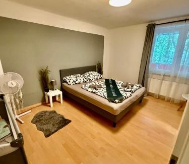 Suedvorstadt Apartment | Wohnung im Herzen von Leipzig No2