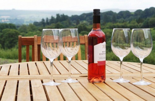 Llanwrtyd Wells Villa | Wonderful private villa for 11 guests with WIFI, TV, patio, panoramic view and parking