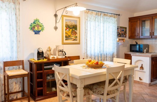 Manziana Villa | Wonderful private villa with private pool, A/C, WIFI, TV, patio, pets allowed and parking