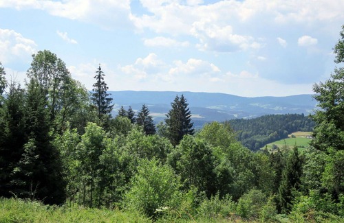 Viechtach House | Wonderful private villa with private pool, WIFI, TV, patio, pets allowed, panoramic view and par...