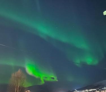 Al Municipality Apartment | Wonderful Seaview Apartment