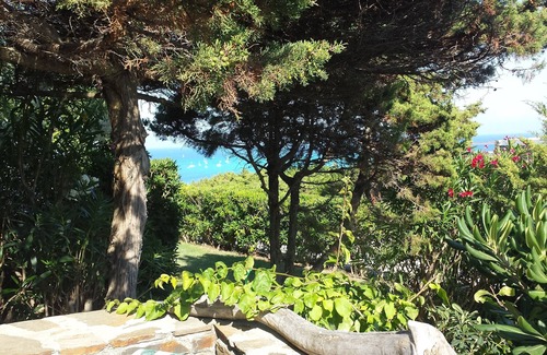 La Pelosa Apartment | Wonderful view on two large veranda seas