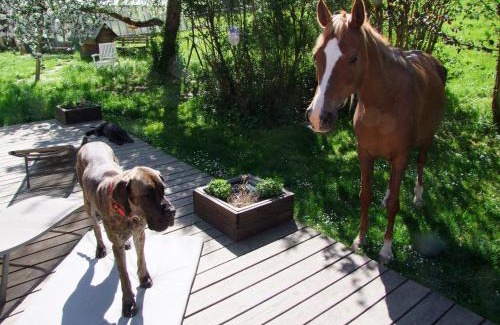 Schwaebisch Gmuend Apartment | Wonderworld