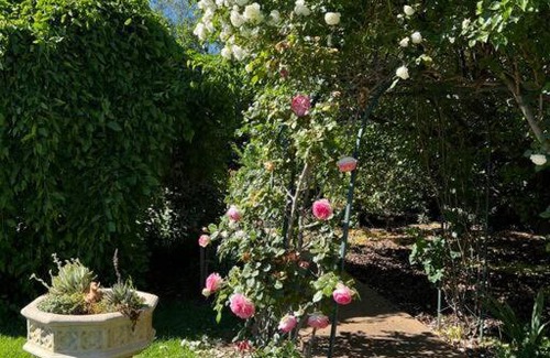 Parkes House | Wonga - A secluded oasis in the heart of Parkes