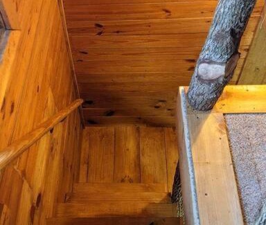 Sylva Ski Chalet | Woodard Cabin